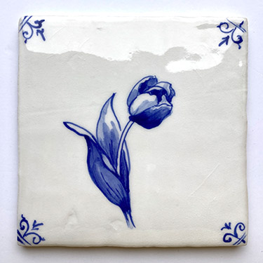 Tulp